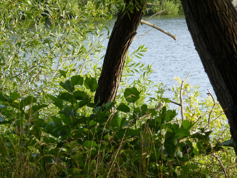 090810-Långholmen-005