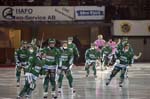 090206-Bajen-Gripen-002