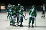 090206-Bajen-Gripen-013