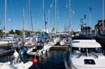 090622-Volvo Ocean Race-002