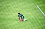 090803-Bajen-Heif-008