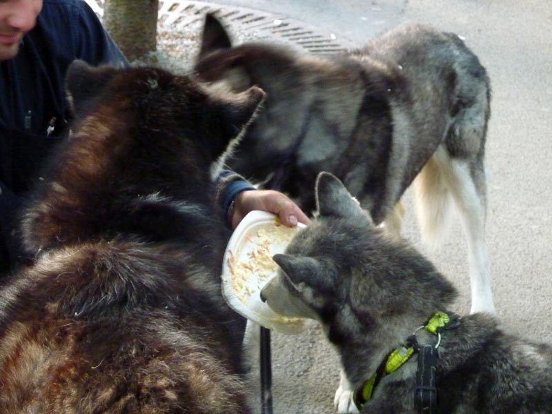 100605-Stockholm-015