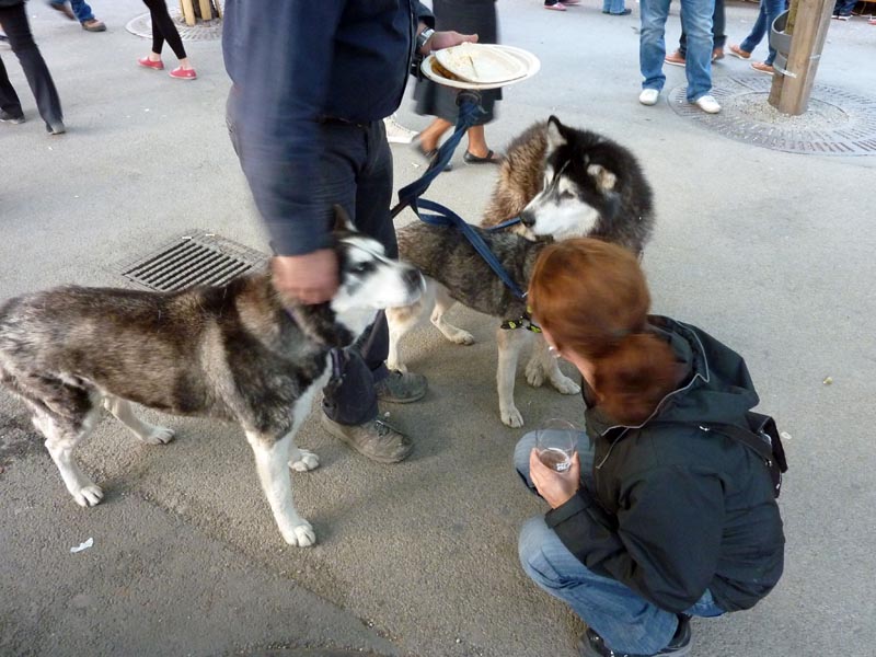 100605-Stockholm-017