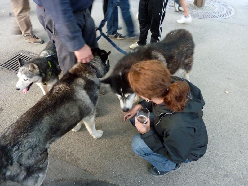 100605-Stockholm-018