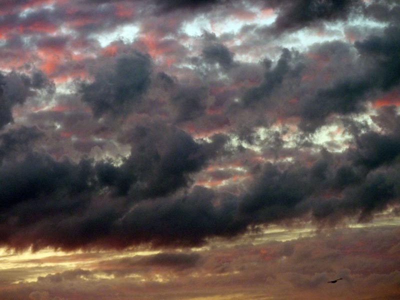 100605-Stockholm-037