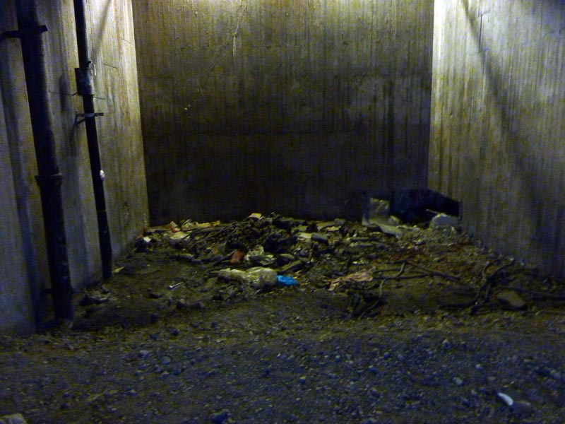 100701-Bajen-Elfsborg-051