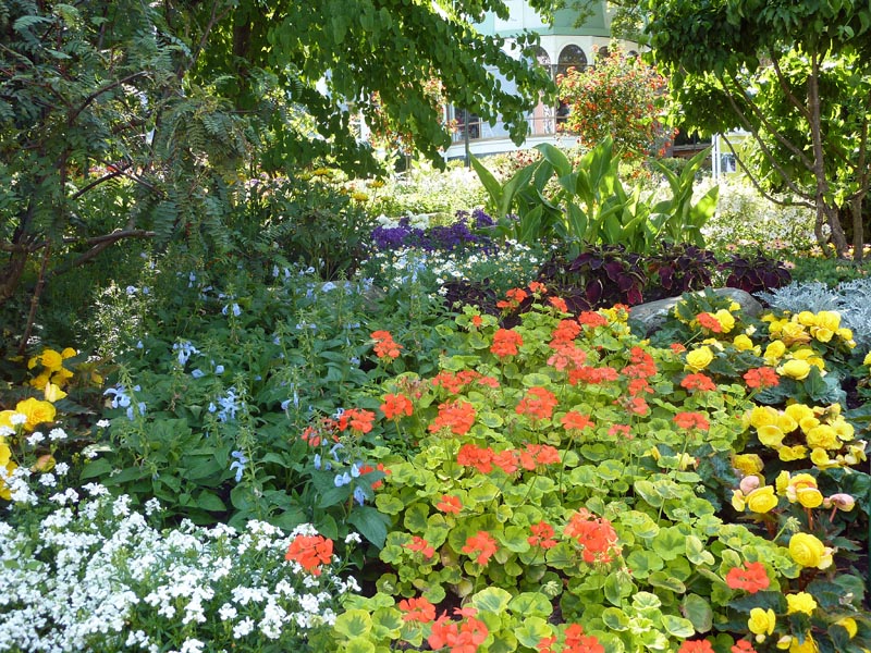 100703-Göteborg-013