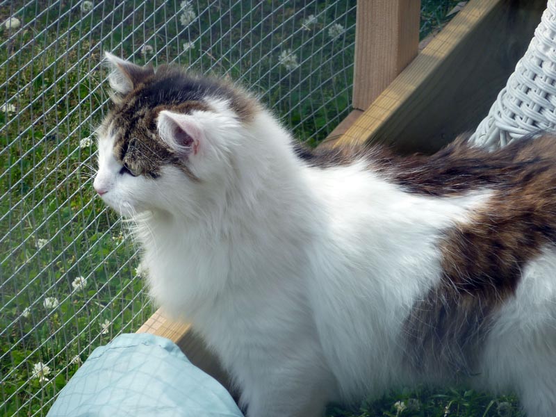 100709-11-Getaway-Gävle-067