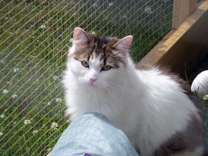 100709-11-Getaway-Gävle-068