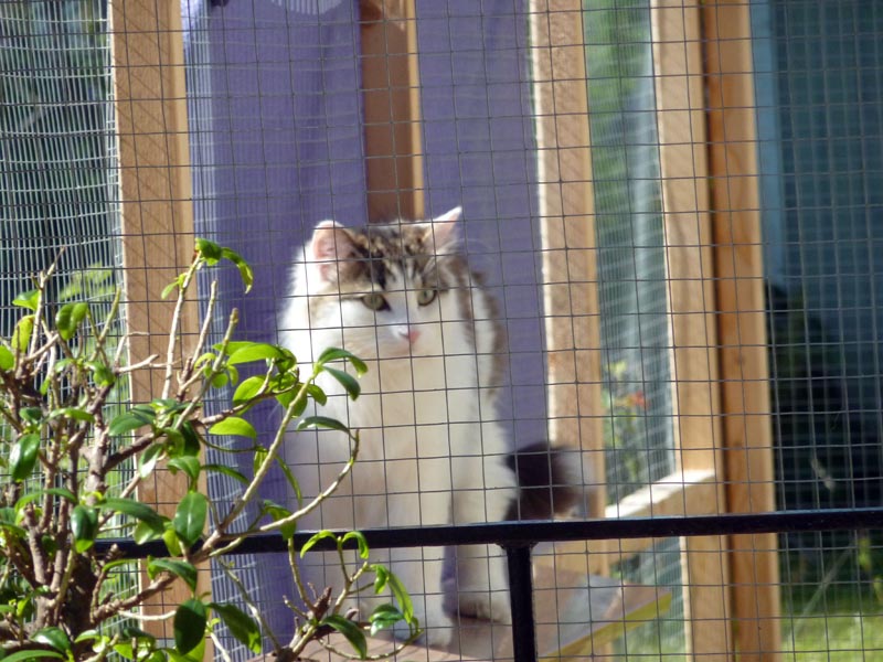 100709-11-Getaway-Gävle-176