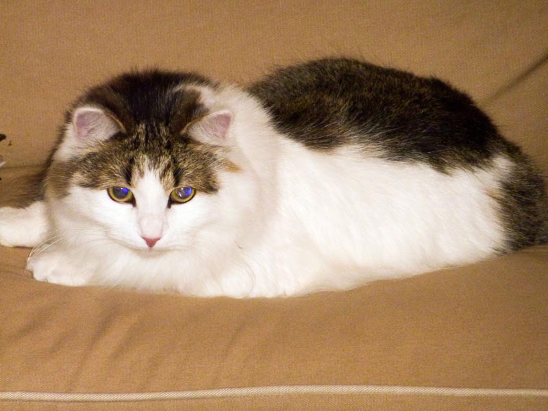 100924-Igor-Boris-001