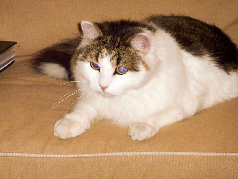 100924-Igor-Boris-003