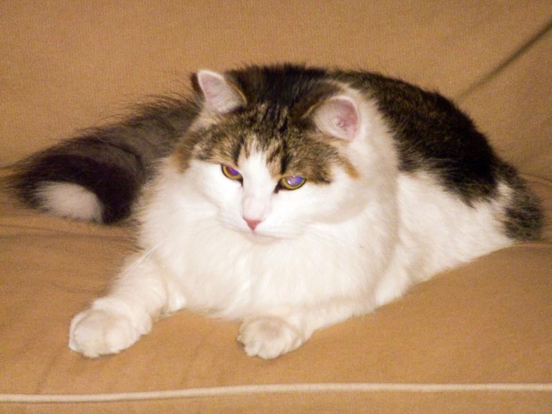 100924-Igor-Boris-005