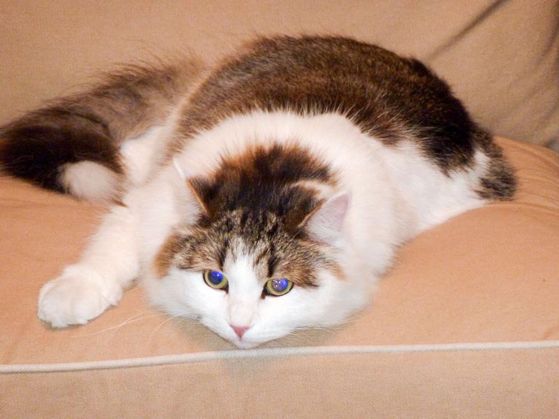 100924-Igor-Boris-006