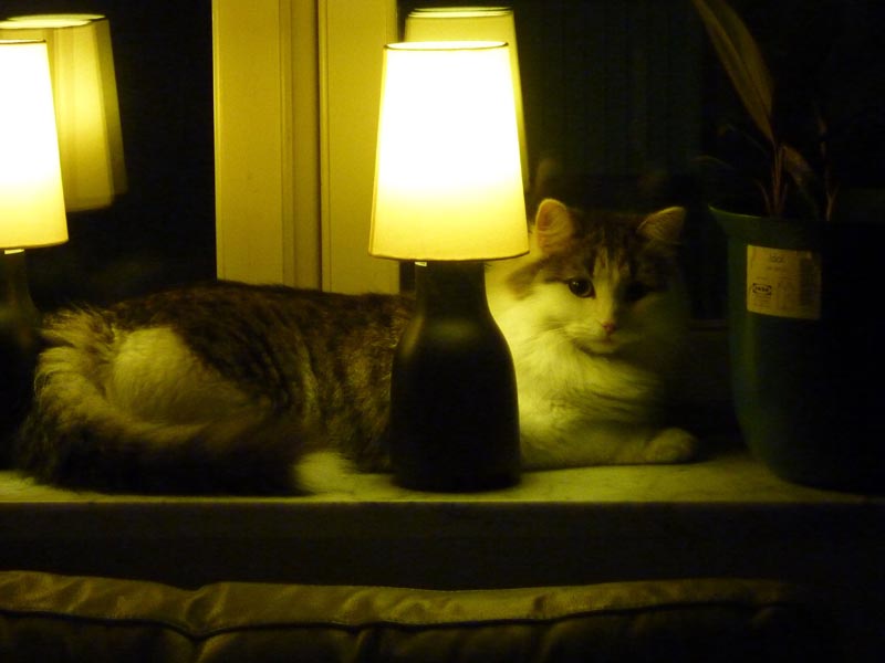 100924-Igor-Boris-010