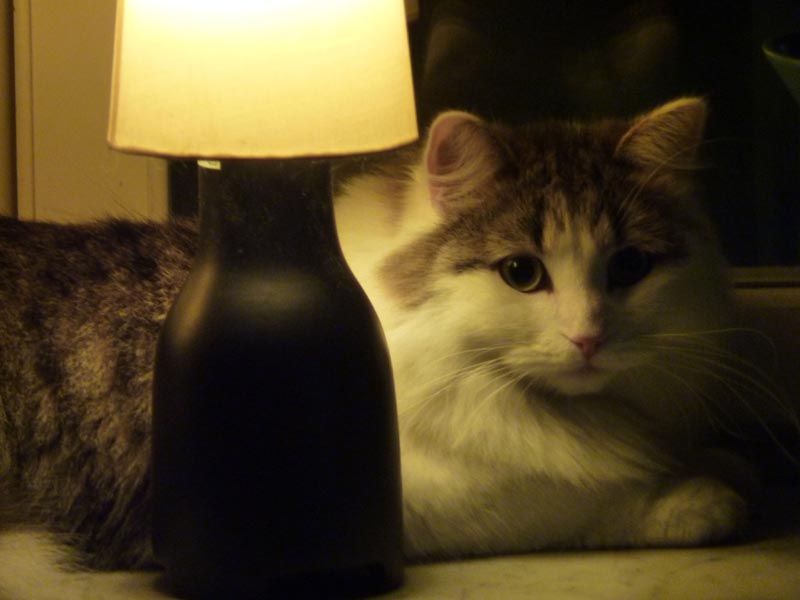 100924-Igor-Boris-011