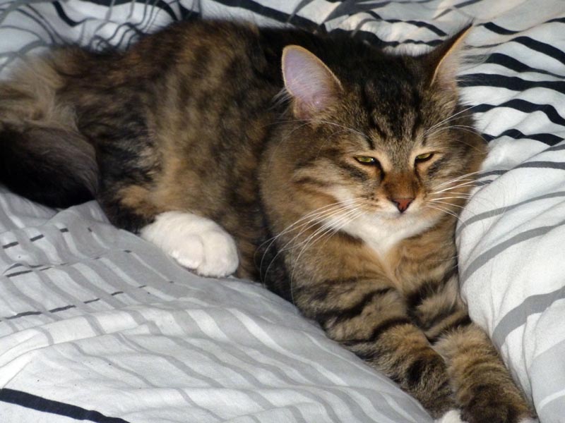 100924-Igor-Boris-013