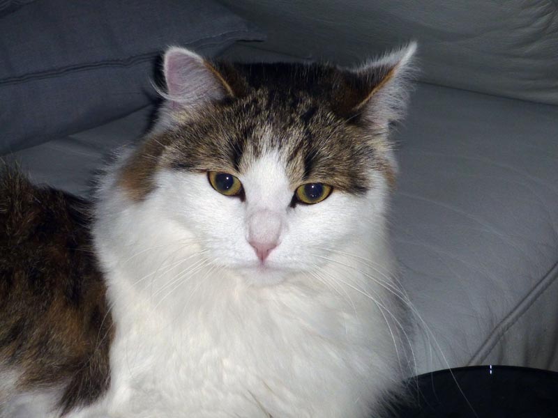 100924-Igor-Boris-015