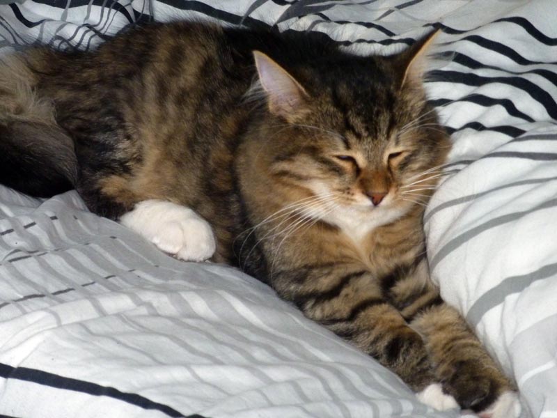 100924-Igor-Boris-016