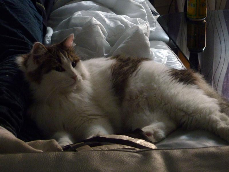 100924-Igor-Boris-017