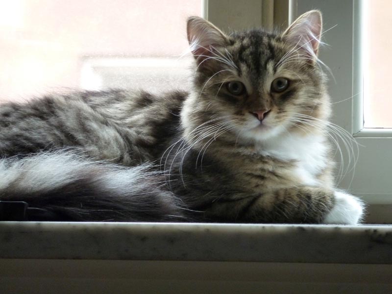 100924-Igor-Boris-019