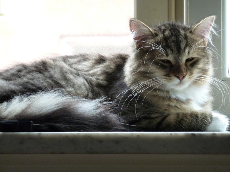 100924-Igor-Boris-020