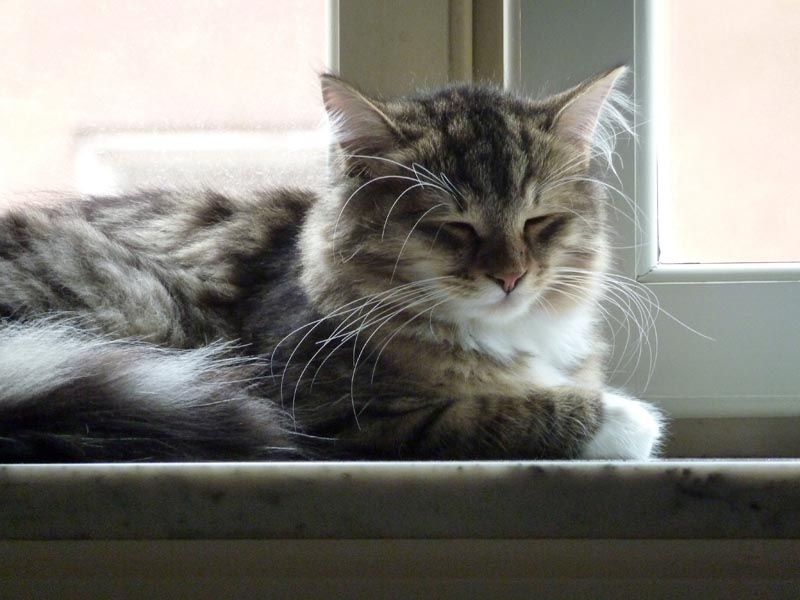 100924-Igor-Boris-021