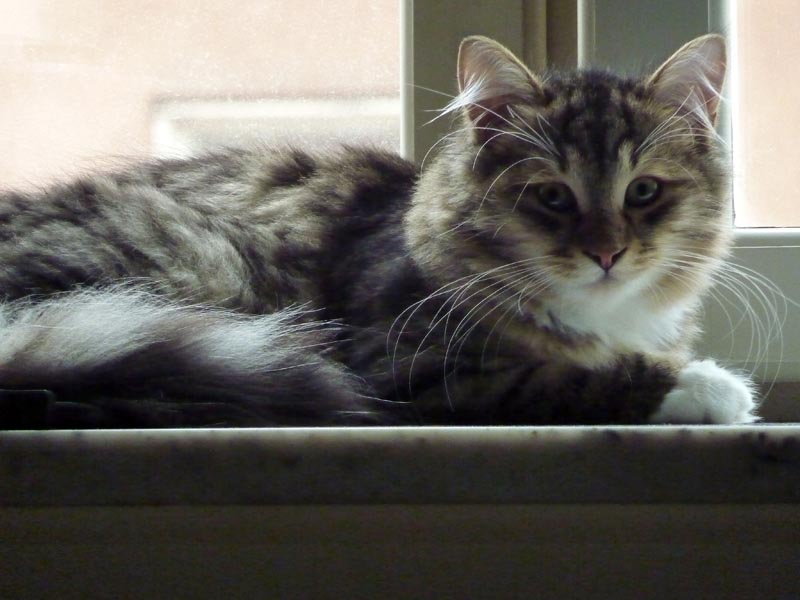 100924-Igor-Boris-022