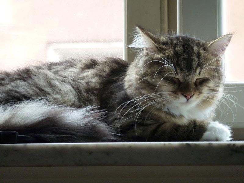 100924-Igor-Boris-023