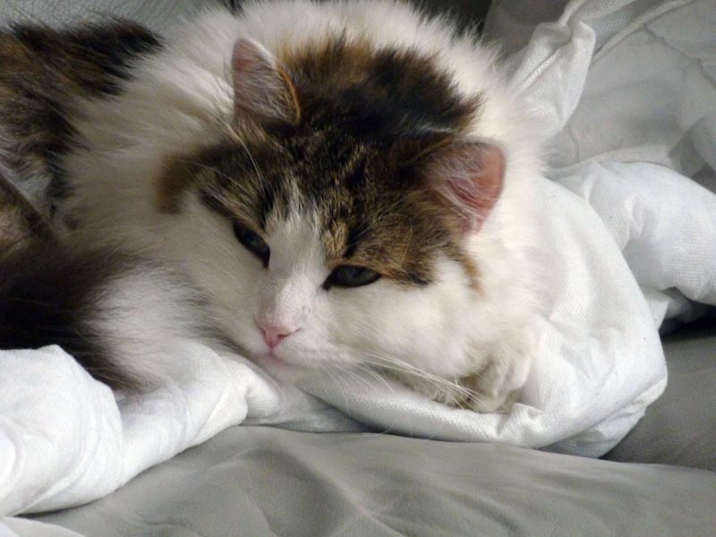 100924-Igor-Boris-024