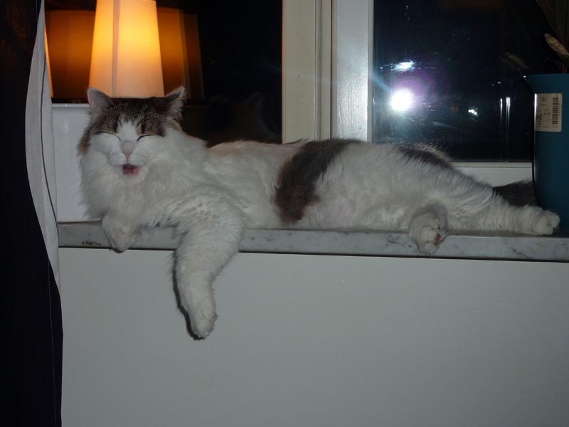 100924-Igor-Boris-025