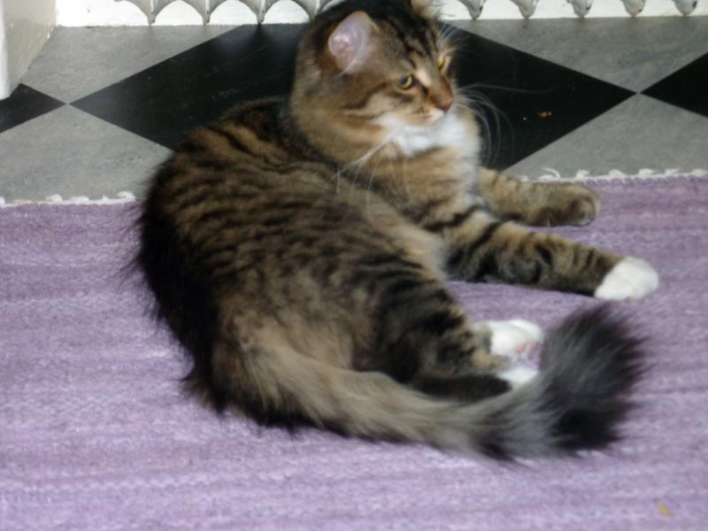 100924-Igor-Boris-030