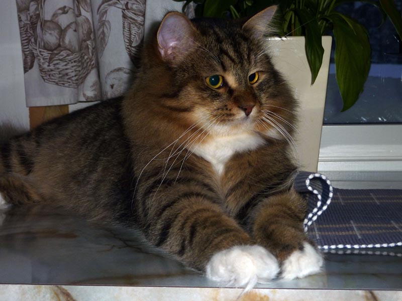 101224-26-Gävle-002