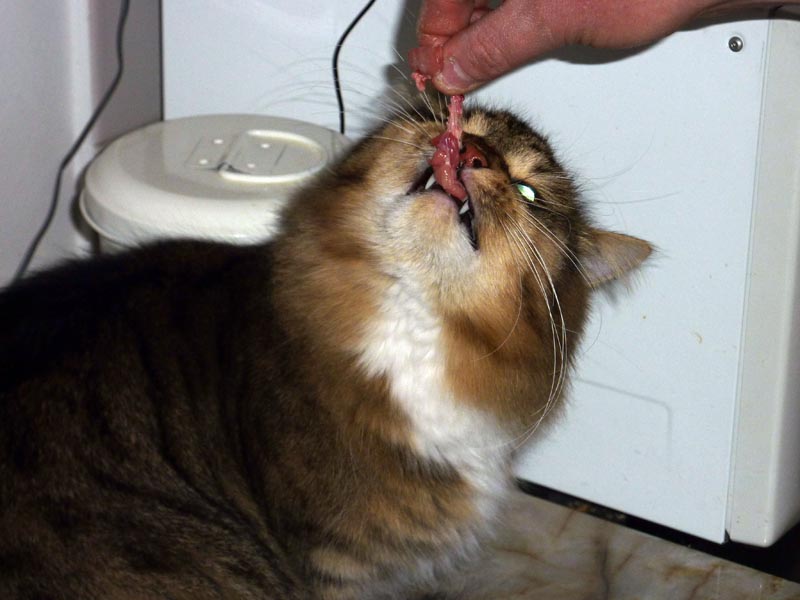 101224-26-Gävle-004