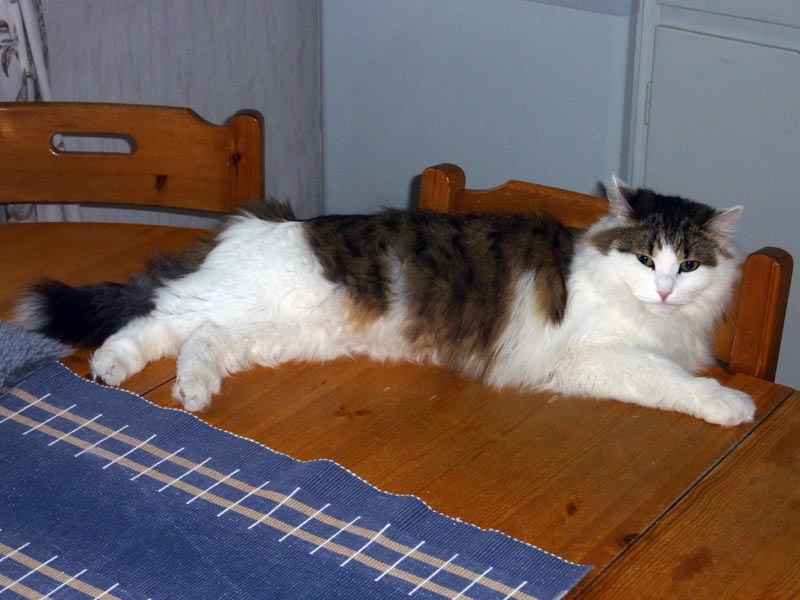 101224-26-Gävle-009