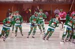 100227-Bajen-Sirius-008