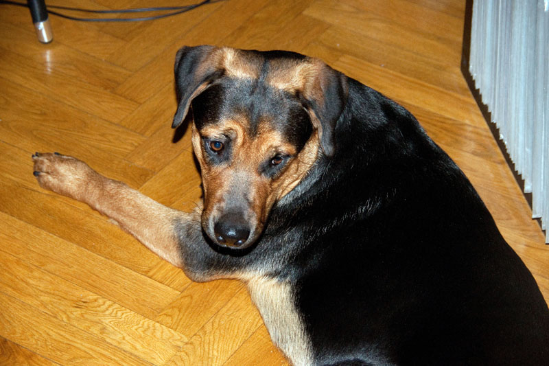 110107-Molly-002