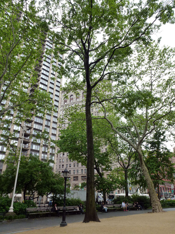 110516-23-New York-041