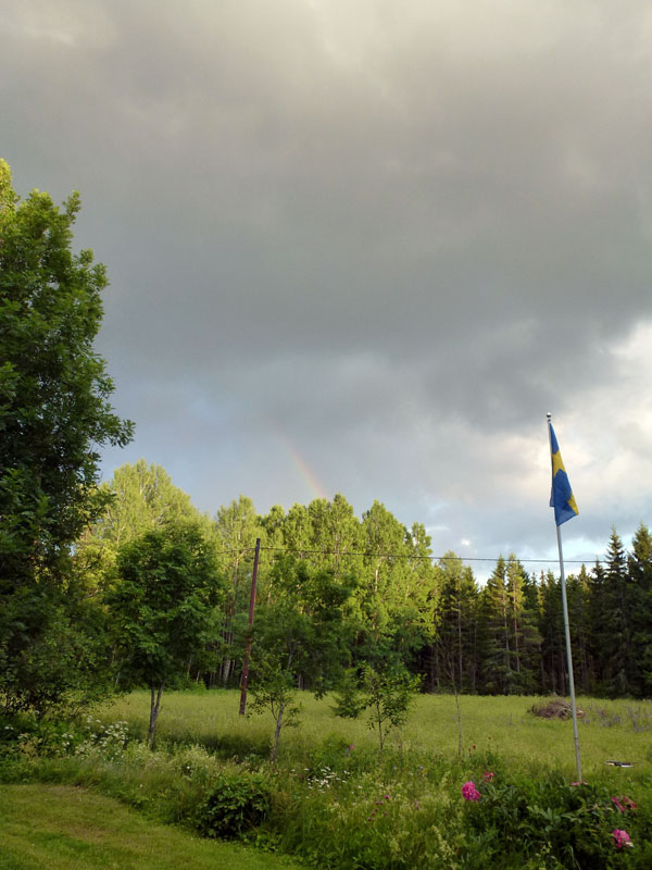110624-25-Midsommar-033