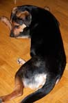 110107-Molly-005