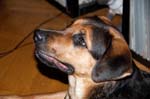 110107-Molly-006