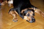 110107-Molly-008