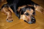 110107-Molly-009