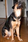 110107-Molly-011