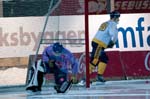 110216-Bajen-Boltic-004
