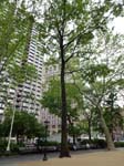 110516-23-New York-041