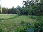110624-25-Midsommar-026