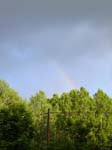 110624-25-Midsommar-034