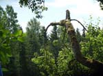 110624-25-Midsommar-040