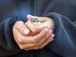 110624-25-Midsommar-043
